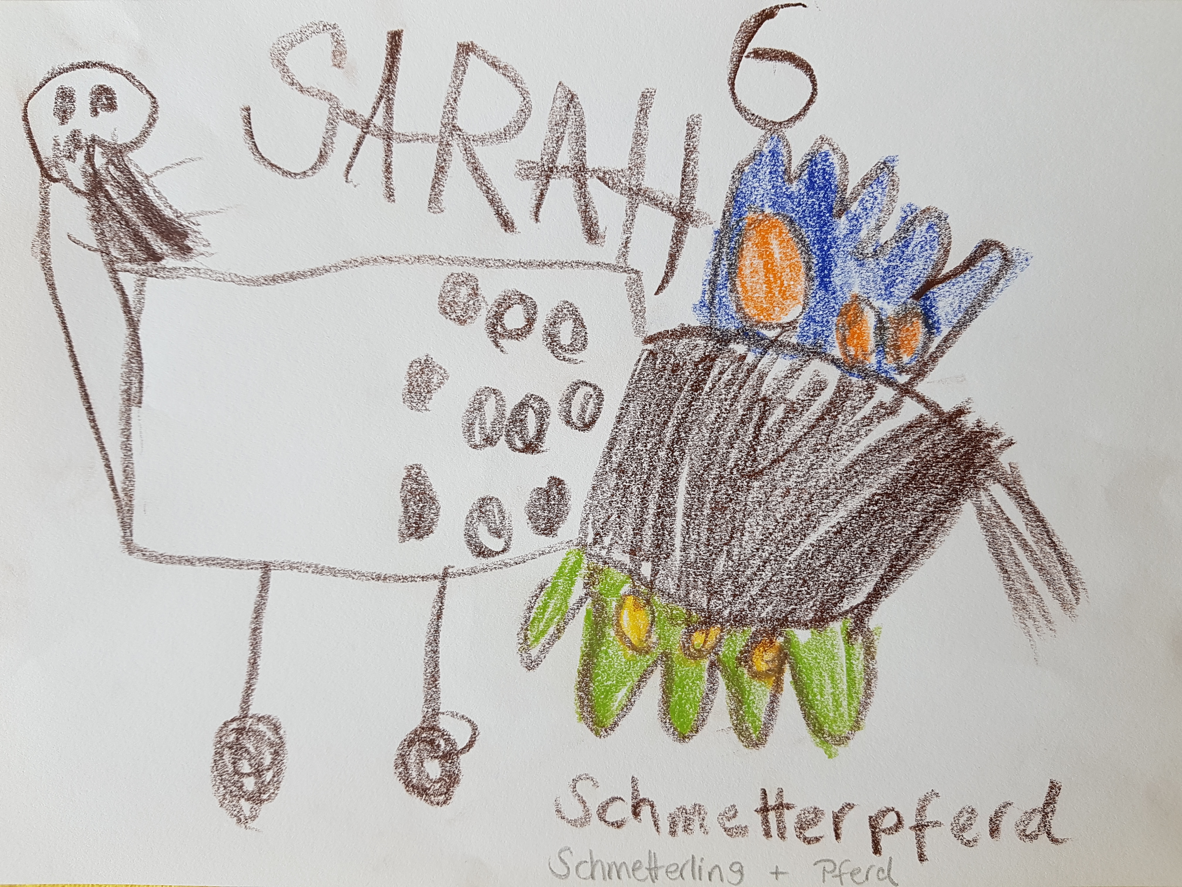 Sarah (6)