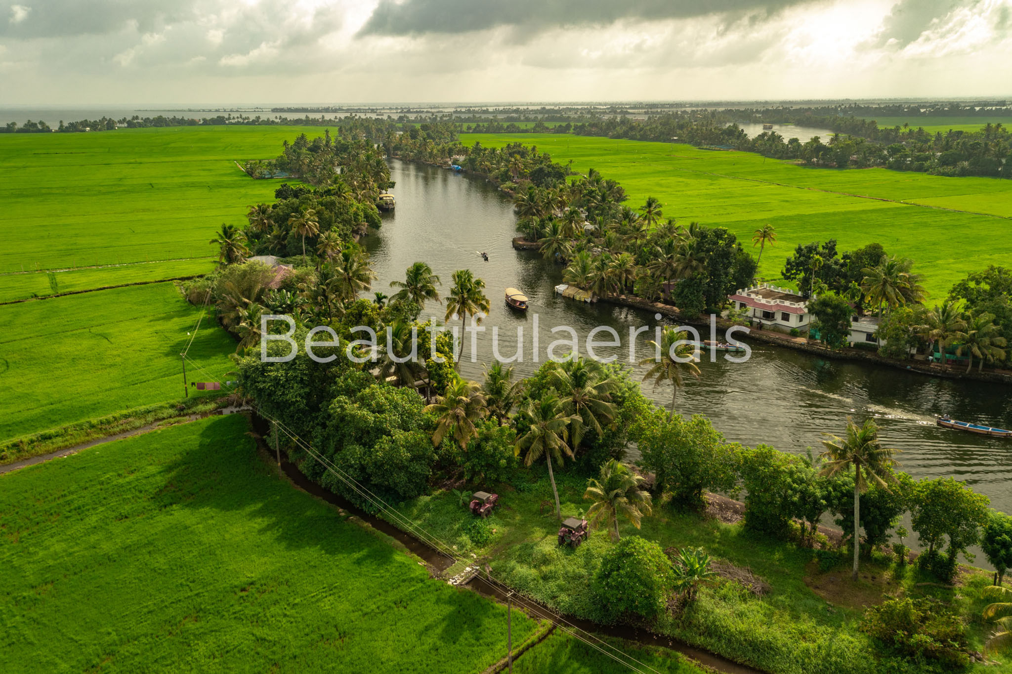 Aerial View of the backwater canal, house baot and lush green paddy fields in Al