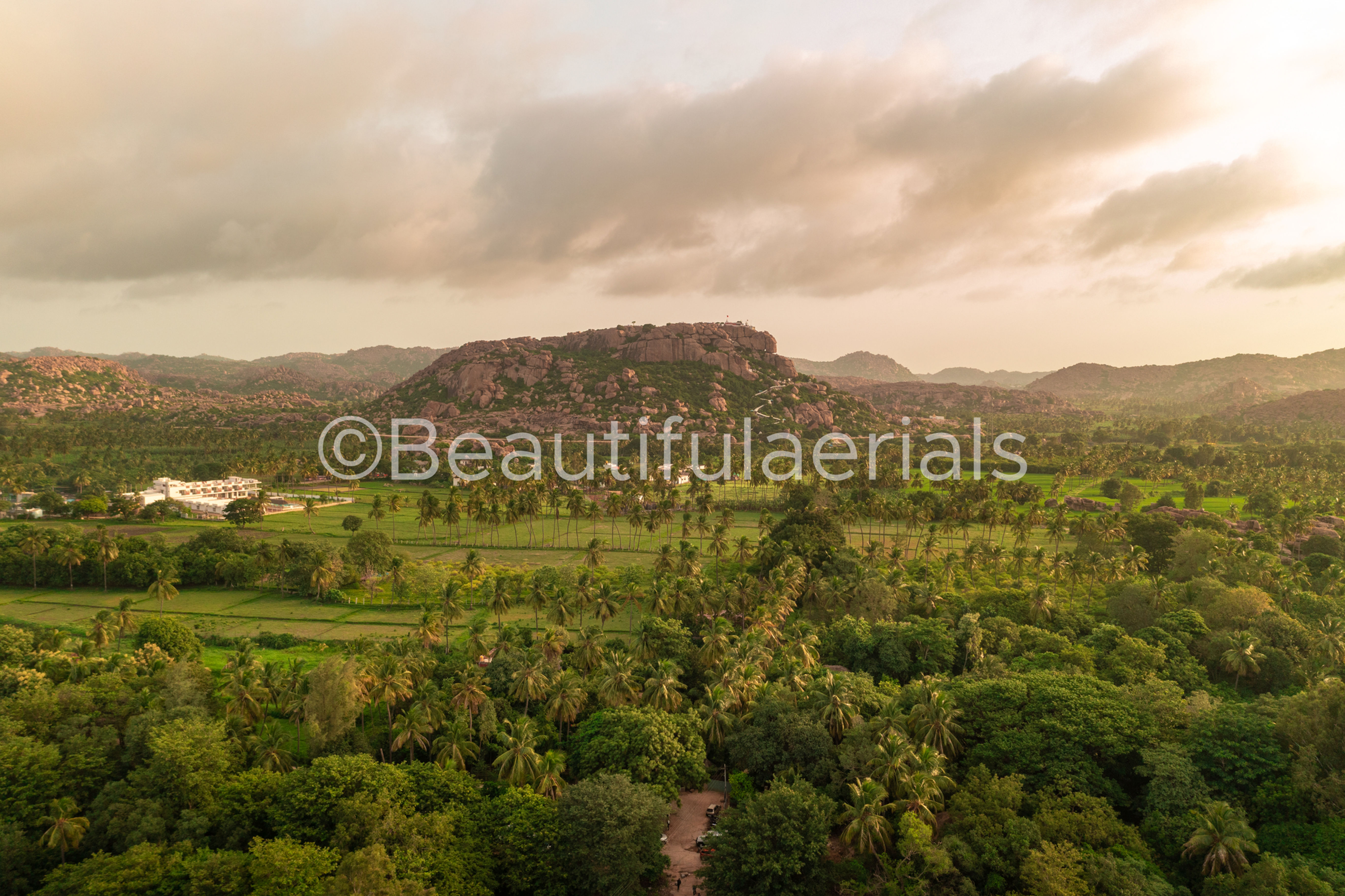 Aerial View of the lush green fields and coconut trees in Hampi city of Karnatak