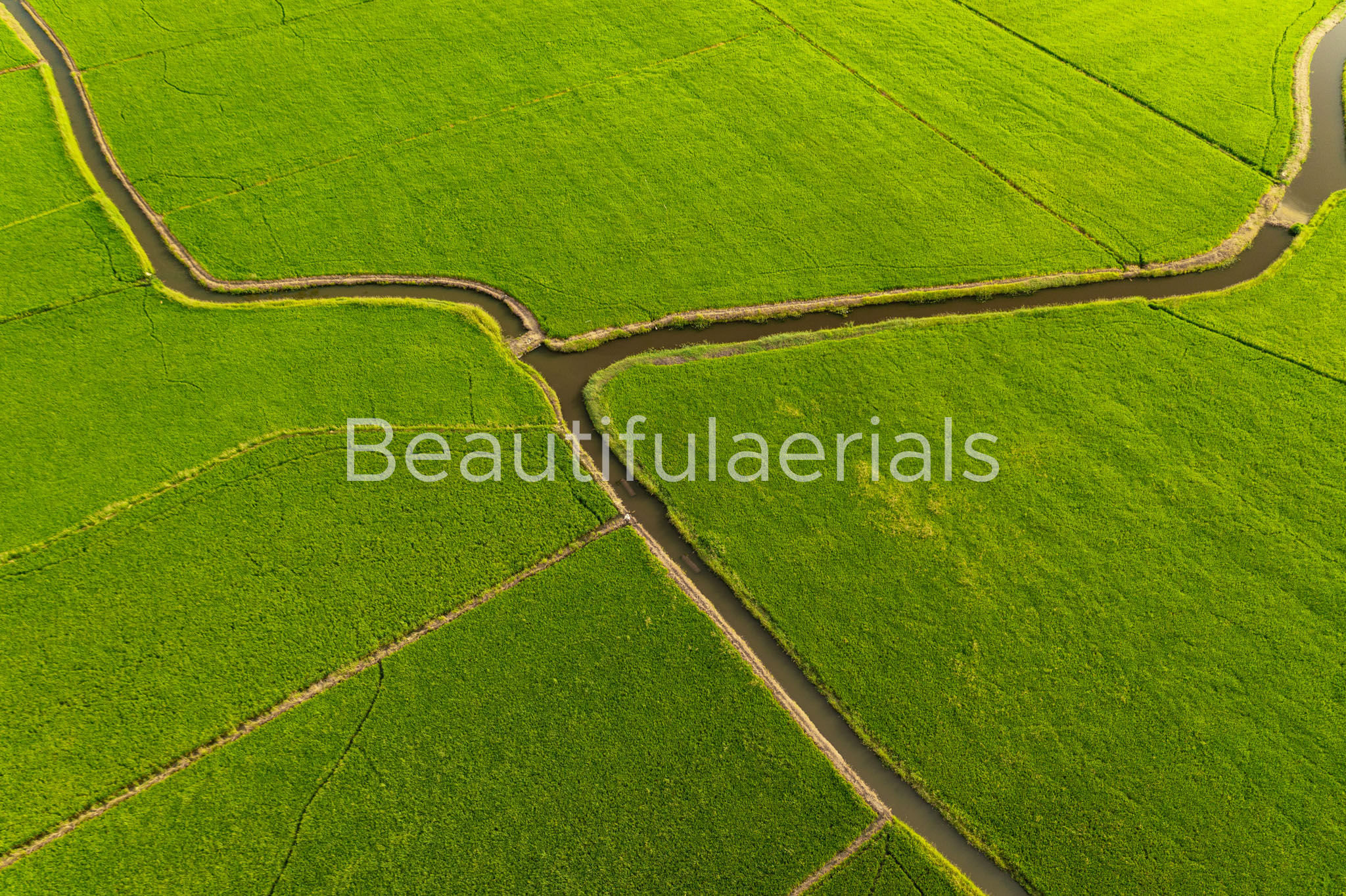 Endless Green Horizons with Snaking River