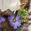 Thumbnail: Rope Wreath with Flowers and Antlers