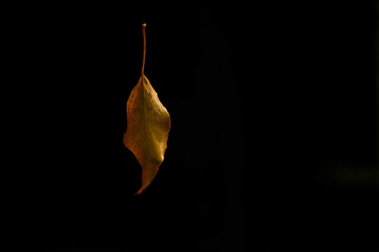 DSC_0315.jpg
