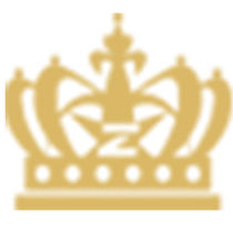 logo-z989-net.jpg