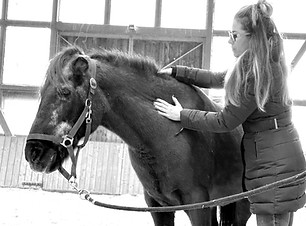 3a019970-5db2-4093-b4ca-d281fba71913_edited.jpg