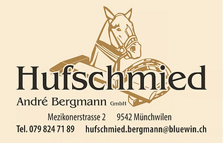 Hufschmied Bergmann