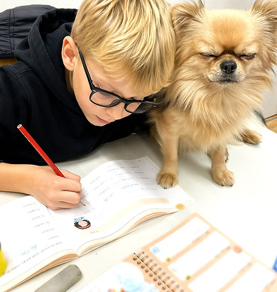 Website hund_edited.jpg
