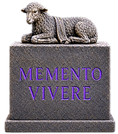 mv2_edited_edited_edited_edited_edited.p