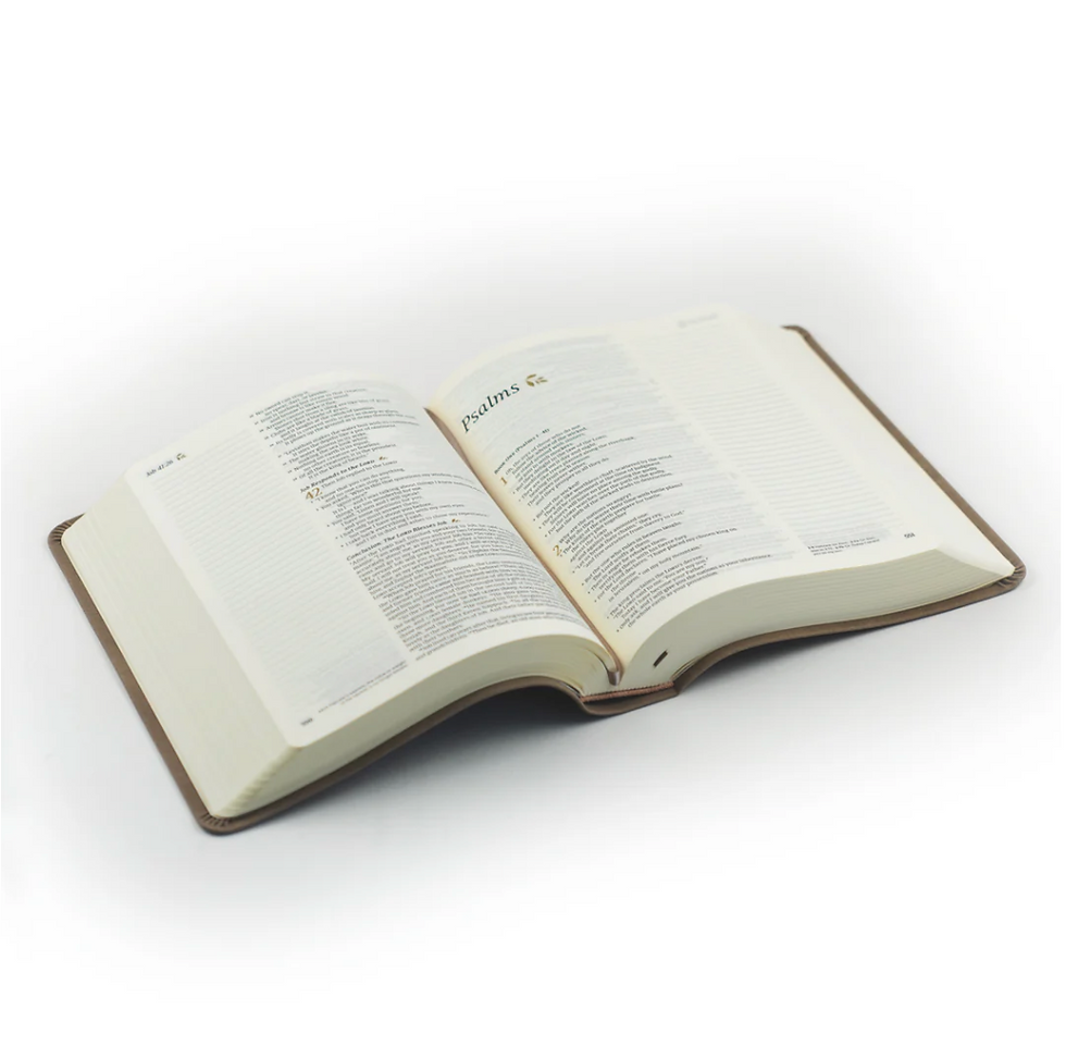 Thumbnail: Hosanna Revival: Marlo Theme (NLT Journaling Bible)