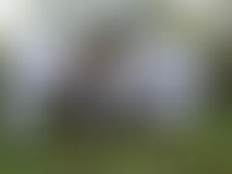 ¿Expropiación para qué? Entre la utilidad pública y el despojo