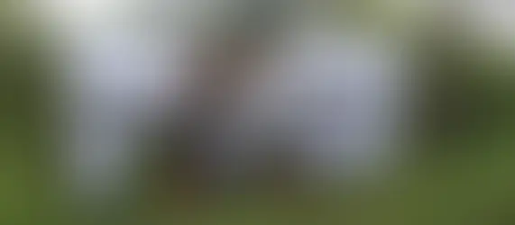 ¿Expropiación para qué? Entre la utilidad pública y el despojo