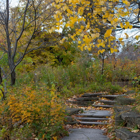 Five Must-Go Places near Joliet this Fall