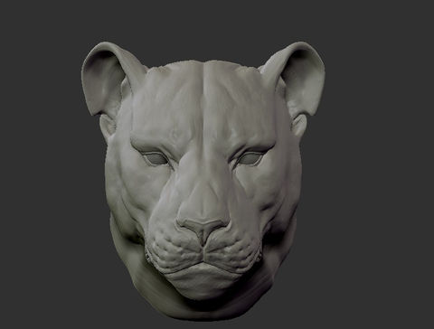 Modelagem Orgânica - Tigre