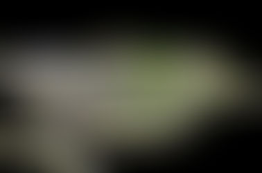 Concurso Internacional - Nová škola Chýně - República Checa