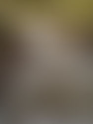 Obras de Recuperação dos Trilhos do Parque Florestal de Monsanto - Lisboa - 2018