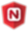 NativeScript with Angular.png