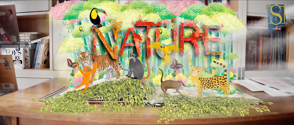 Screen Shot 2017-06-23 at 10.58.06