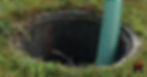 ree