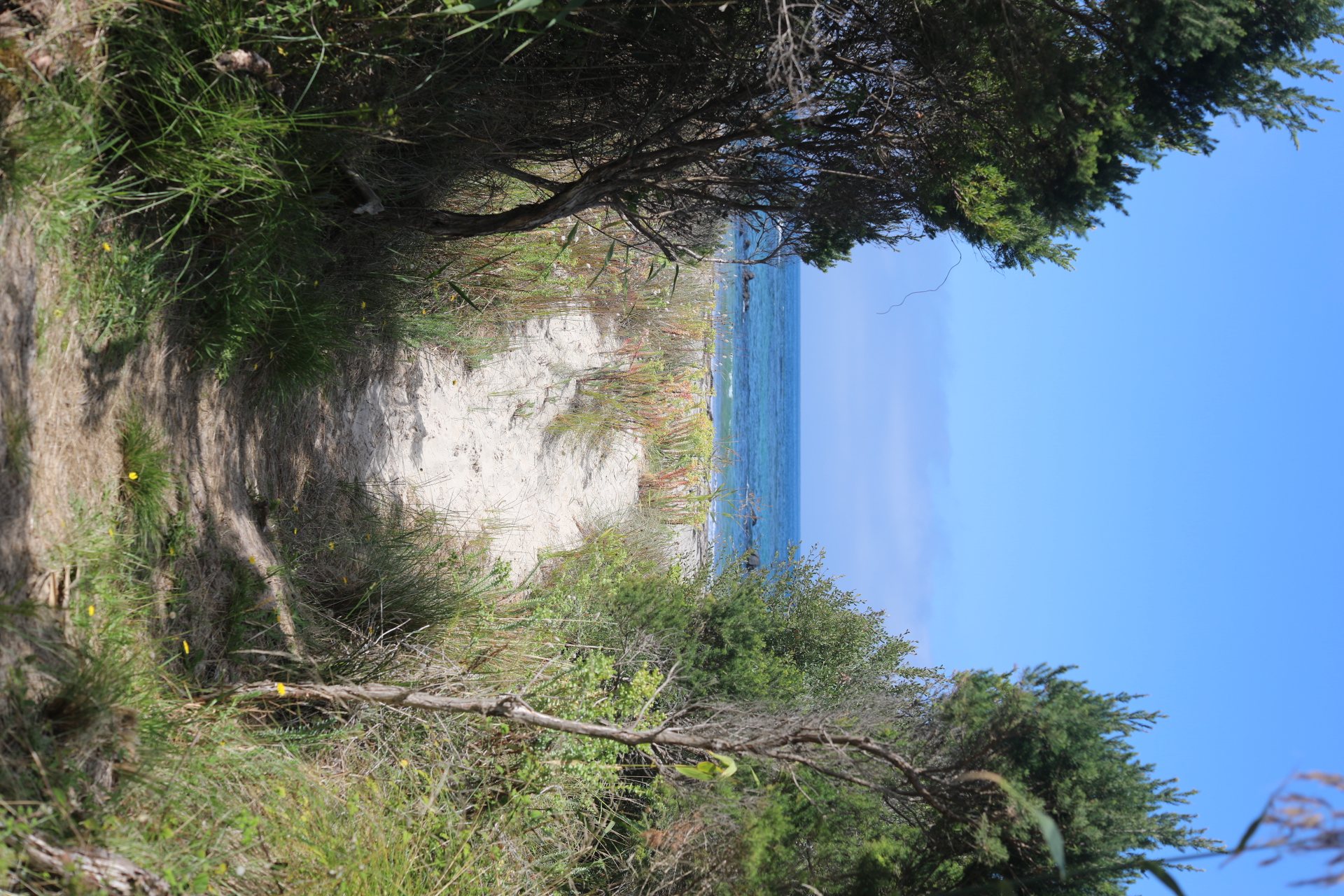 track to beach