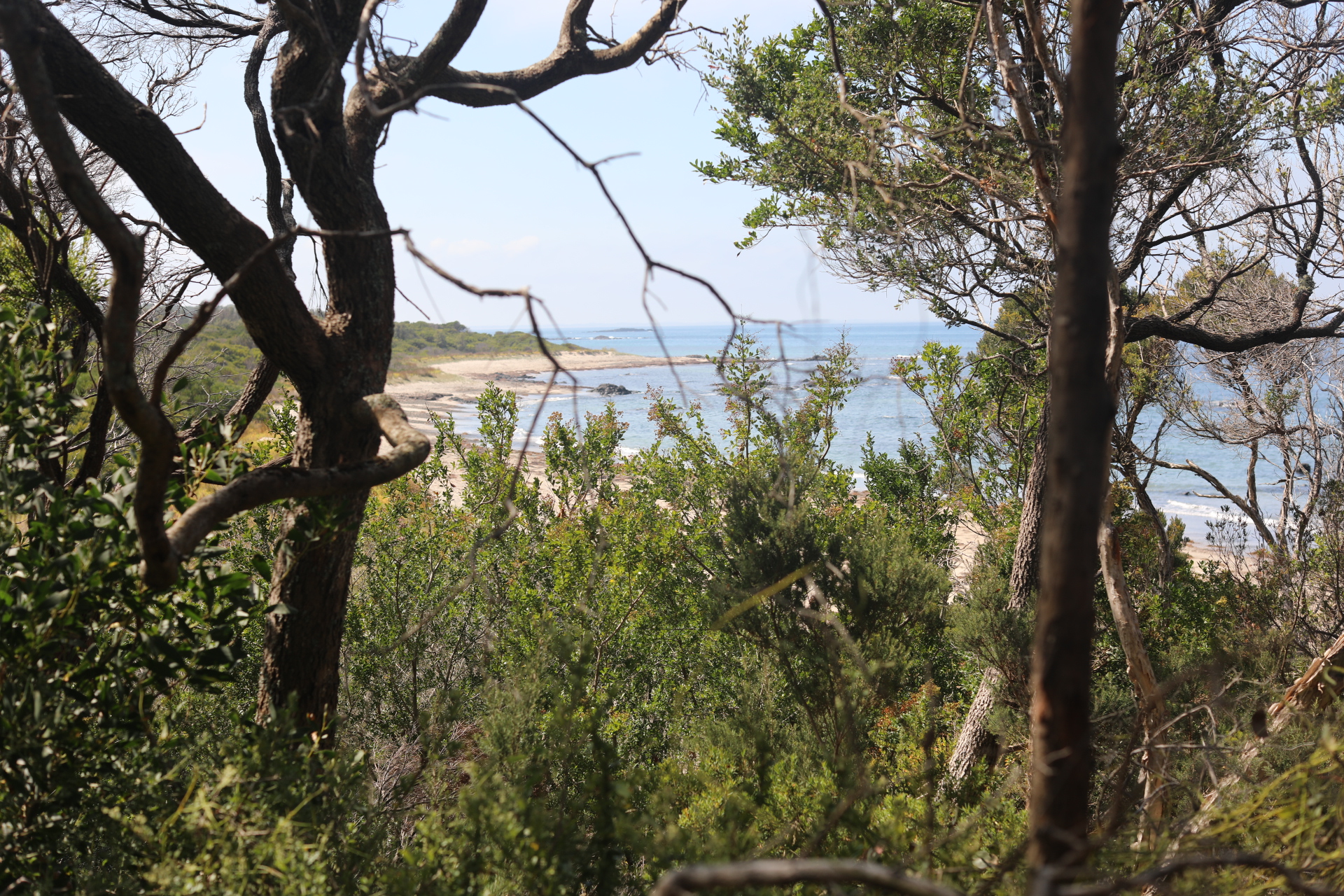 bushwalking