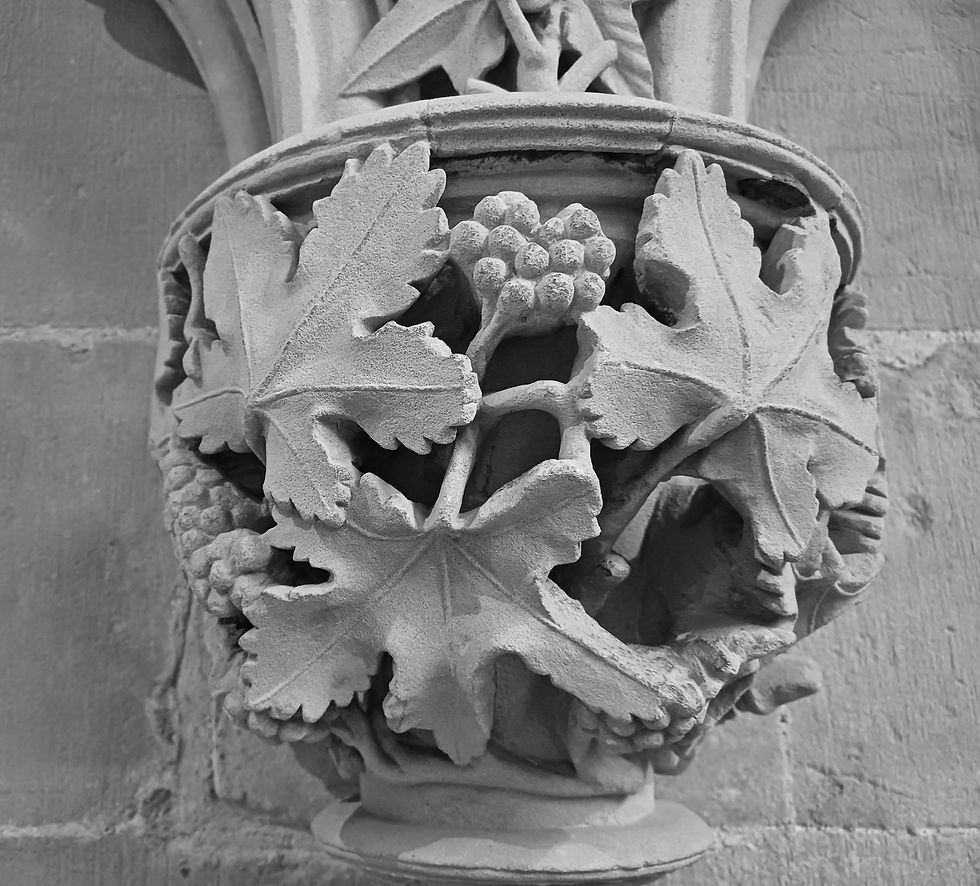 Leaves of Southwell