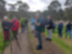 Guided birdwatching at Lake Elingamite