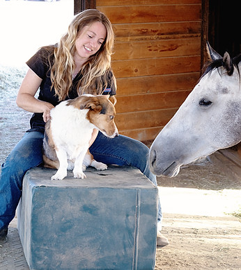 Dr. Kristen Christensen, DVM, performing a chiropractic adjustment on a dog in Phoenix, AZ