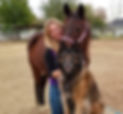 20190105_165204%20(1)_edited.jpg