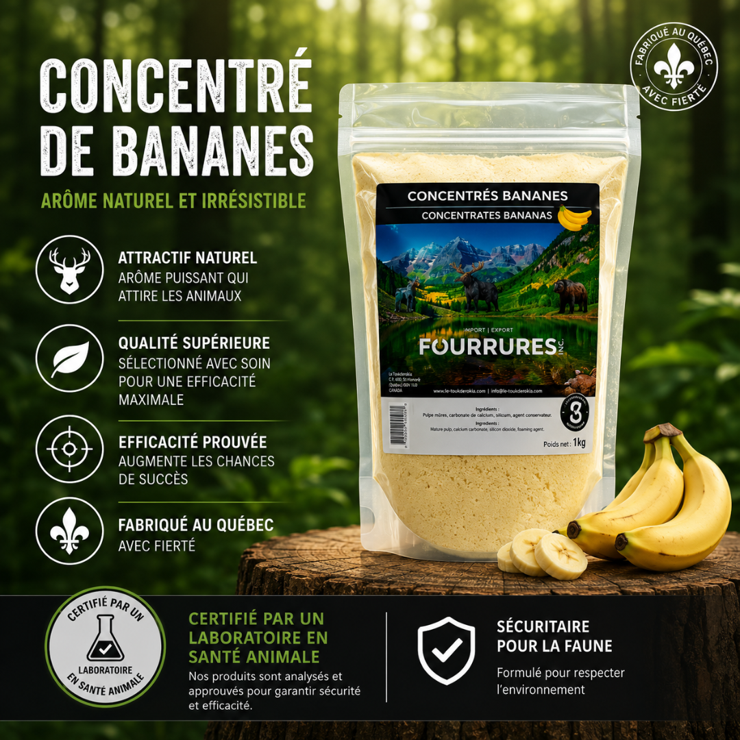 Concentré aux bananes 0.4 kg