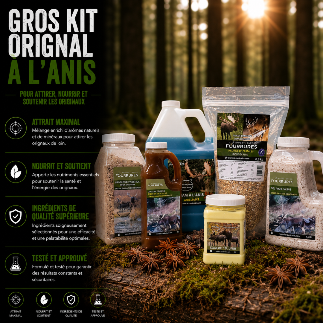 KIT SALINE ANIS ORIGNAL (GROS)