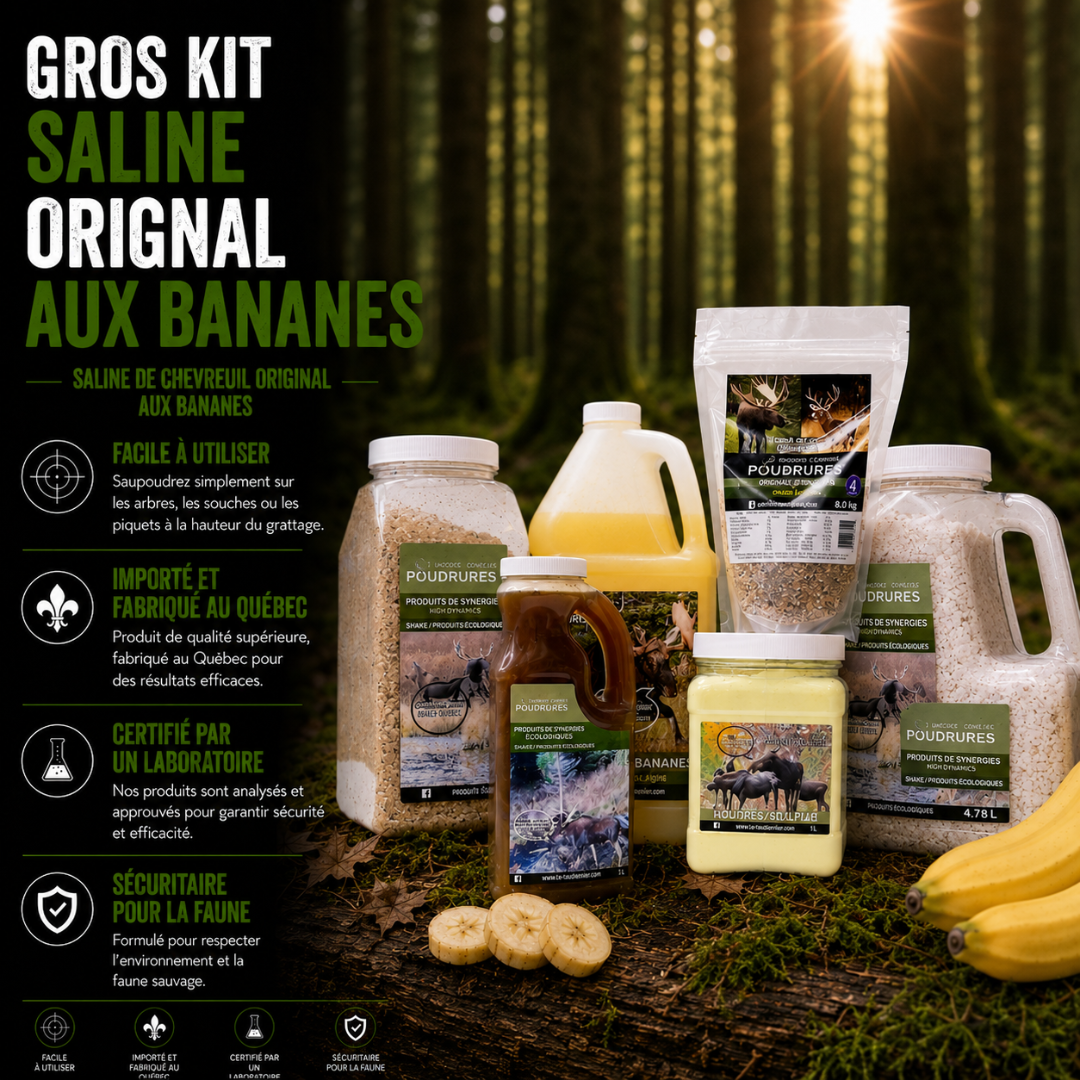 KIT SALINE BANANE ORIGNAL (GROS)