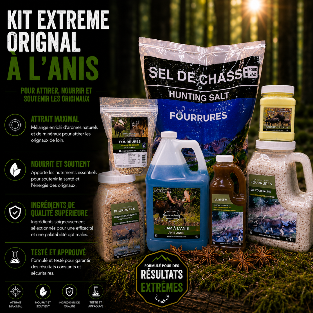 KIT SALINE ANIS ORIGNAL (EXTRÊME)