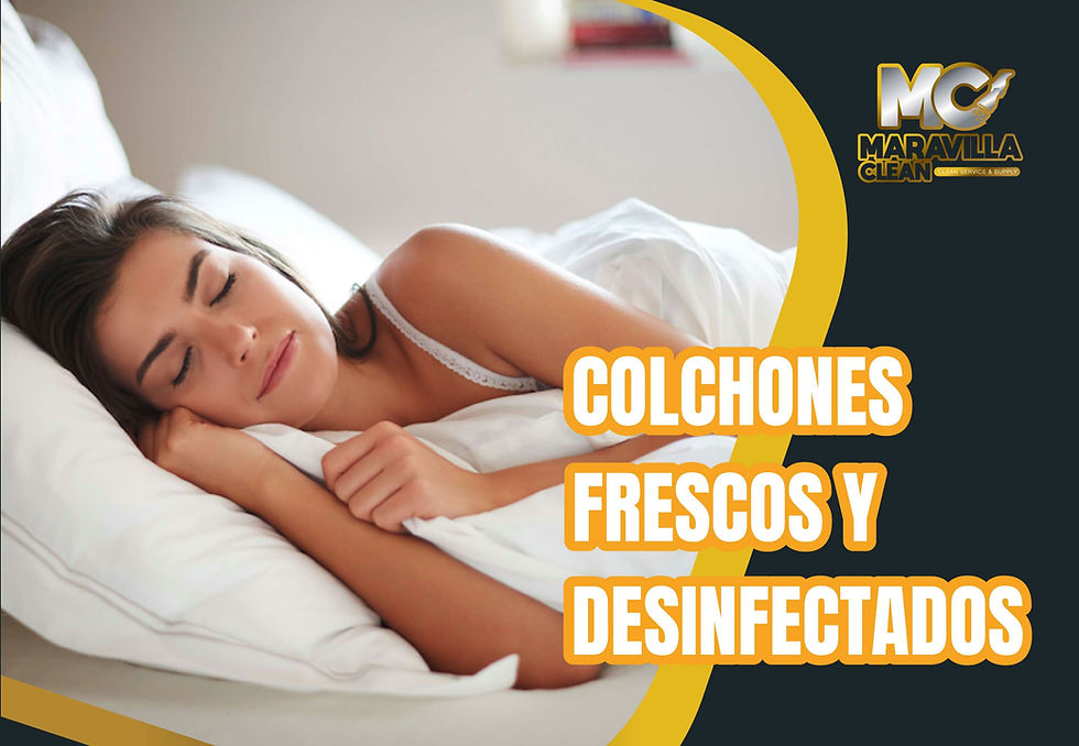 Descubre por qué la limpieza profesional de colchones es esencial