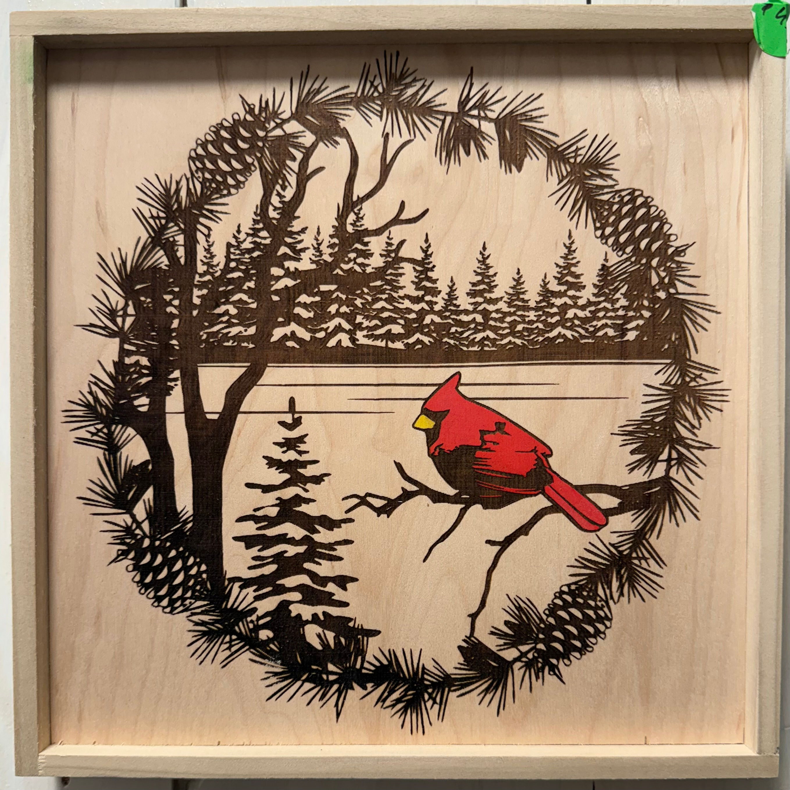 The Pine‑Ringed Cardinal