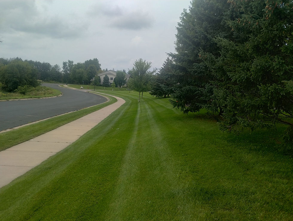 IMG_20240820_152936141_HDR
