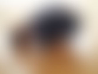 March 2022 News |3月2022年ヌース