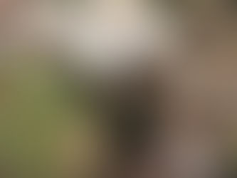 April 2022 News! |4月2022年ニュース