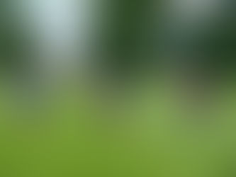 Training Begins Again