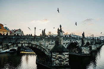 Charles Bridge in Prague at sunset, with pedestrians walking along the historic stone bridge, statues lining the sides, and numerous birds flying overhead against a pastel sky.