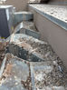A rooftop HVAC unit corroded from bird dropping and covered in bird debris like feathers and nesting material. 