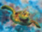 Sea Turtle