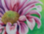 Blooming