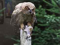 IMG-0524_edited.jpg