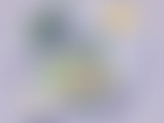 High-Protein Dinner: Garlic Butter Shrimp with Zucchini Noodles