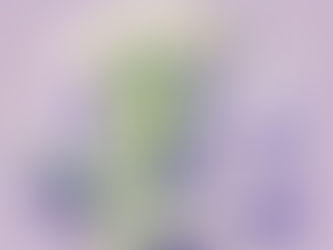 High-Protein Chicken Avocado Wrap