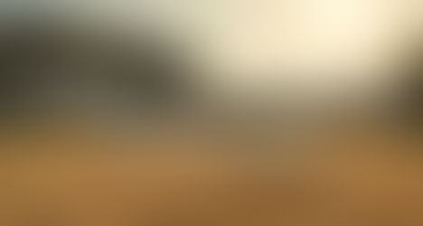 Dry suburban backyard with a brown lawn and an unused garden hose under harsh summer sunlight, illustrating drought conditions and the impact of delaying water tank installation.