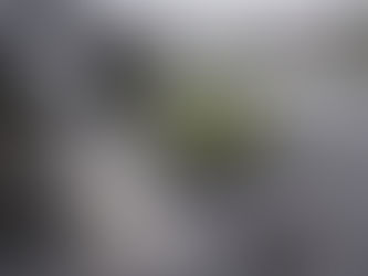 Heavy rainwater flowing from a residential roof into a stormwater drain in a New Zealand suburb, showing stormwater being wasted instead of captured.