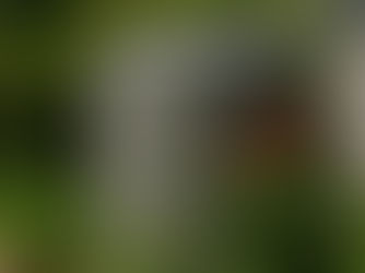 Rainwater tank beside a garden in a New Zealand backyard during summer, surrounded by green lawn and flowers under a clear blue sky.