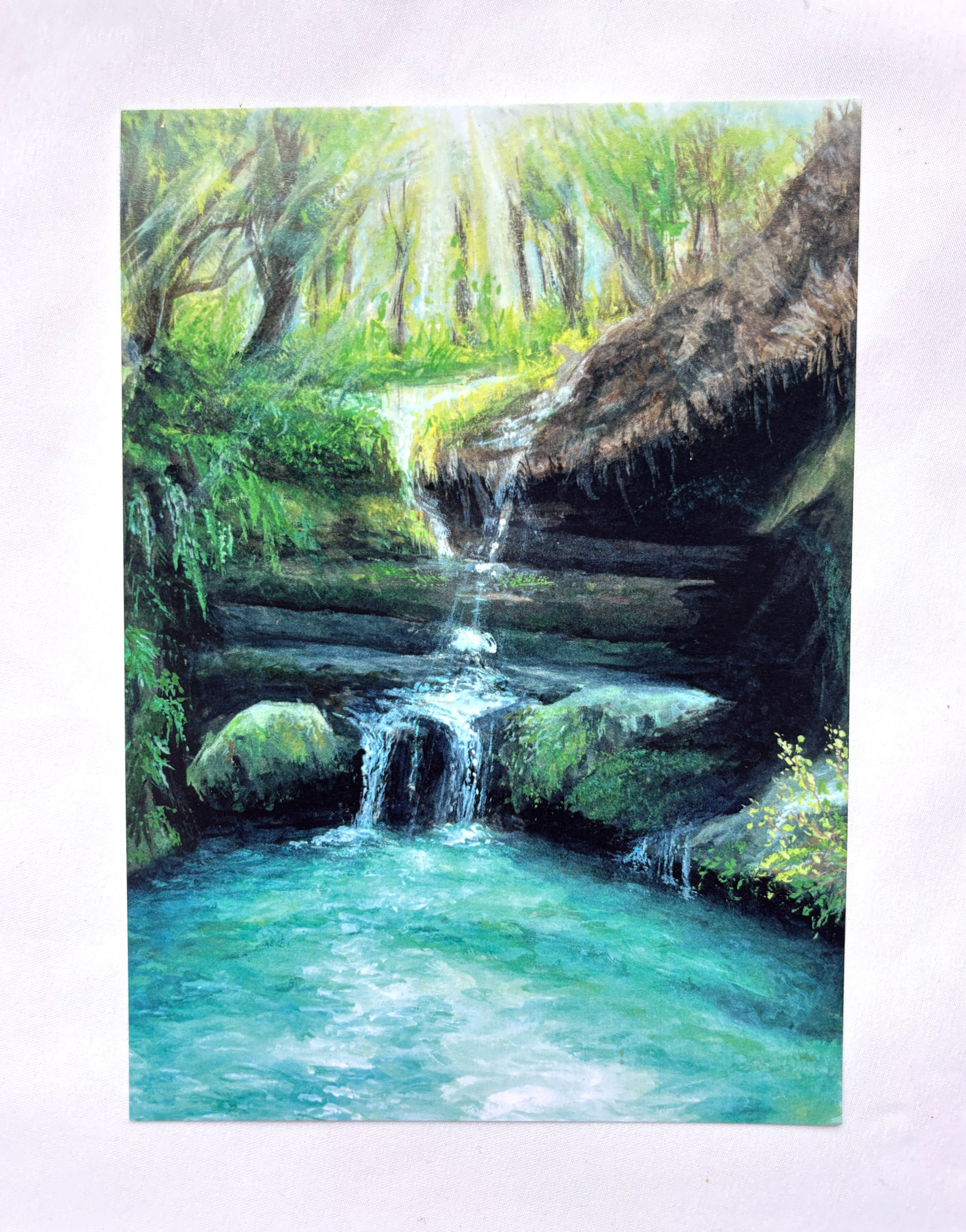 "Fountain of Youth" Postcard