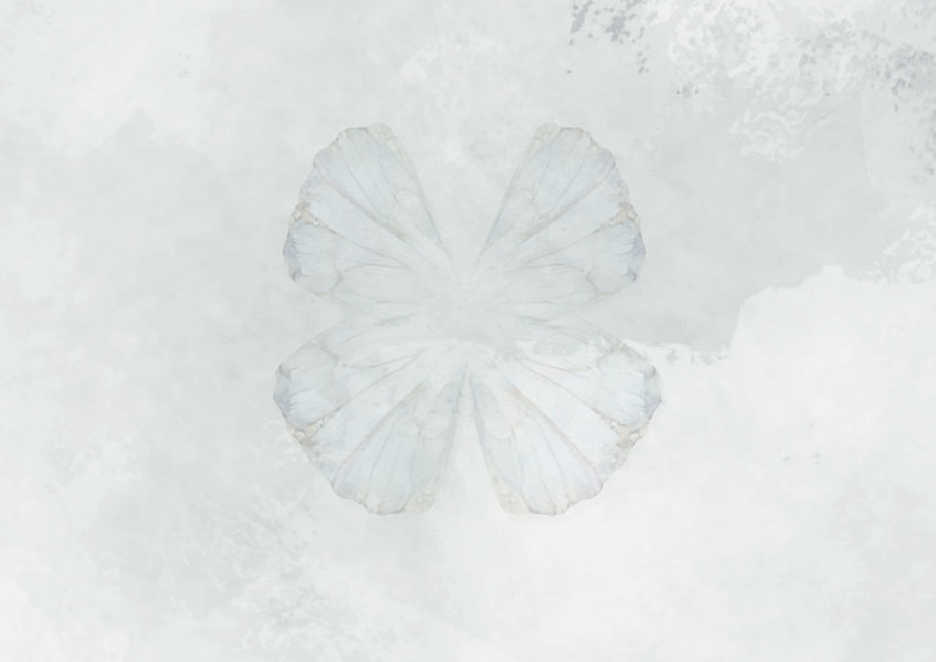 TheButterflyBlessings_LOGO_bg.jpg
