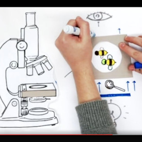 What is fluorescence microscopy?